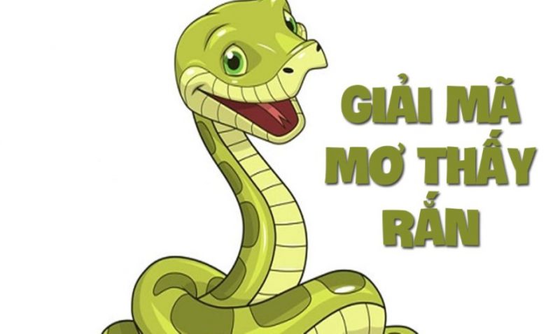 Rắn cắn người khác trong giấc mơ ý nghĩa gì