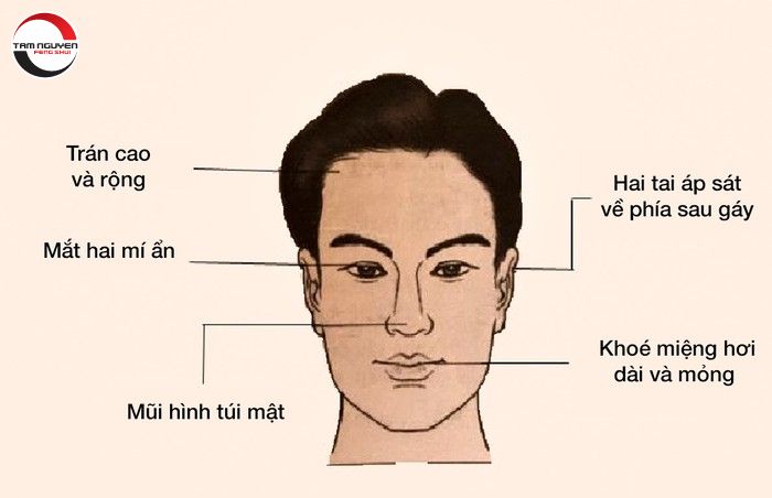 Tổng quan về nhân tướng học