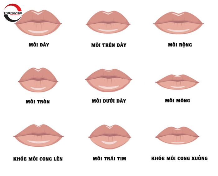 Nhận diện tướng mặt nữ