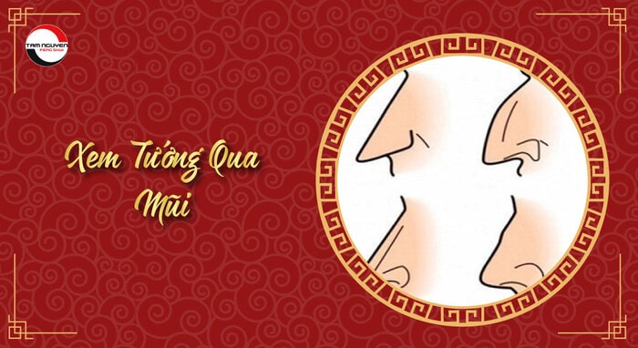 So sánh khuôn mặt nam và nữ trong tướng số