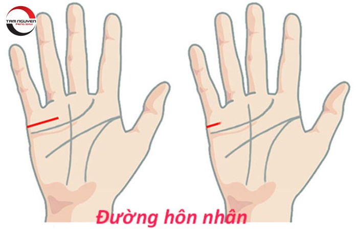 Đường hôn nhân trên bàn tay nam và nữ