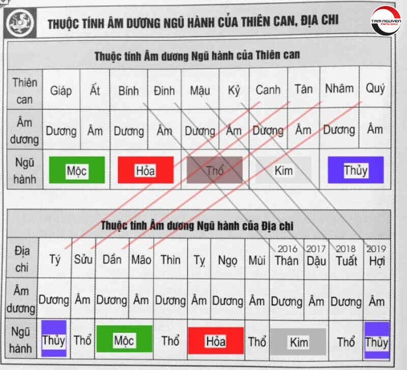 Thiên Can Hợp Nhau Như Thế Nào? Giải Mã Sâu Phong Thuỷ & Ứng Dụng Thực Tế Thiên can hợp nhau trong phong thủy và tử vi
