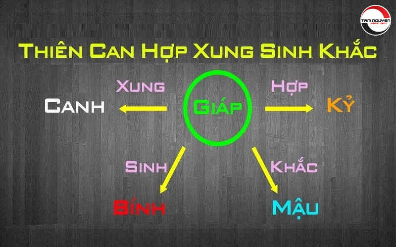 Thiên Can Hợp Nhau Như Thế Nào? Giải Mã Sâu Phong Thuỷ & Ứng Dụng Thực Tế Thiên can hợp nhau trong phong thủy và tử vi