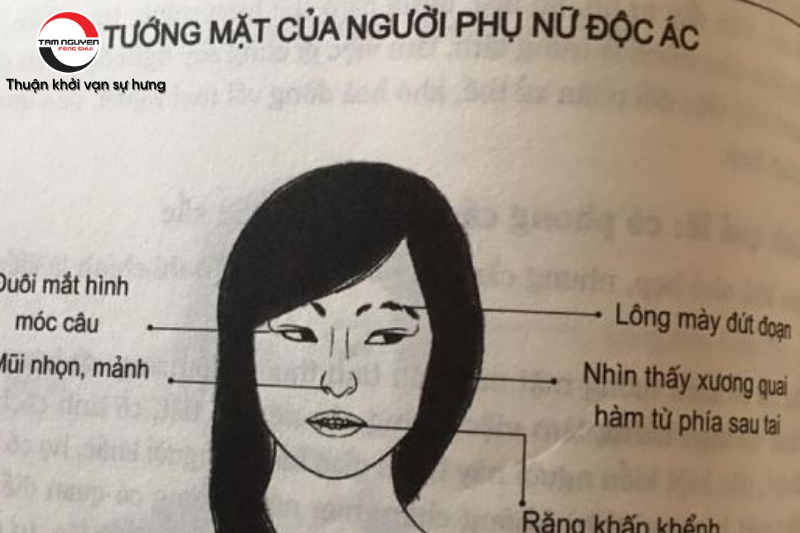 Minh họa tướng mặt nham hiểm, gian xảo