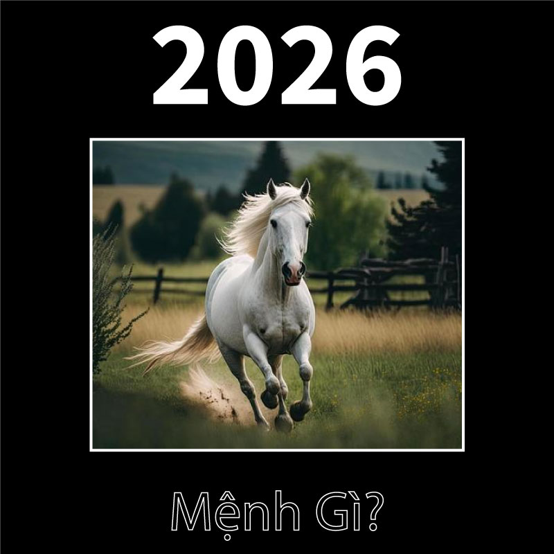 Màu sắc hợp mệnh năm 2026 cho may mắn
