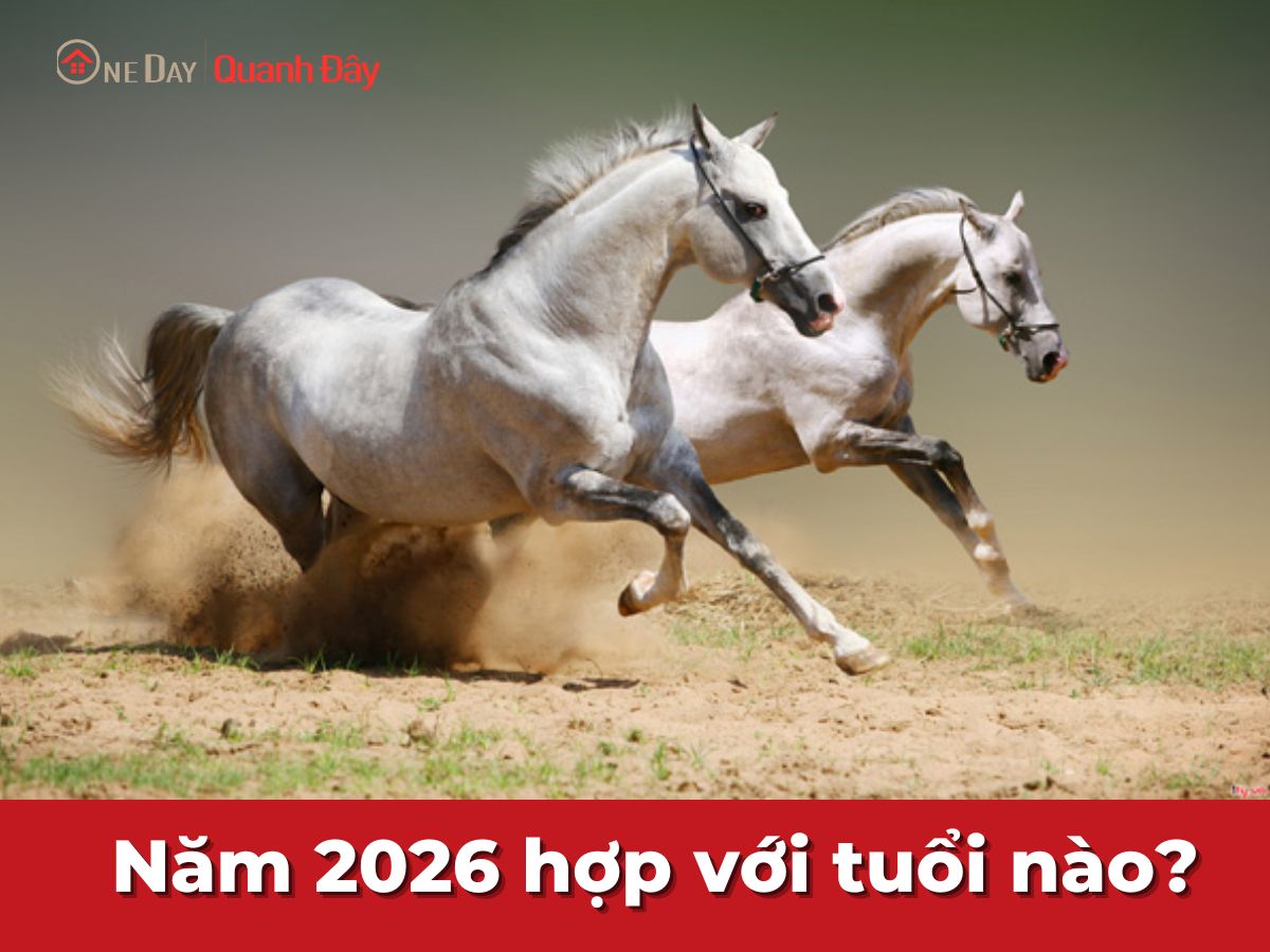 Tuổi Mùi 2026 hợp với tuổi nào trong tình duyên