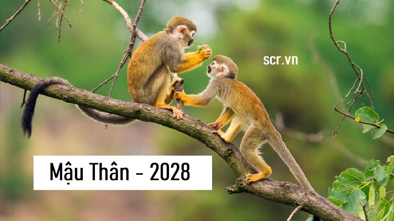 Tử vi và vận mệnh năm 2028