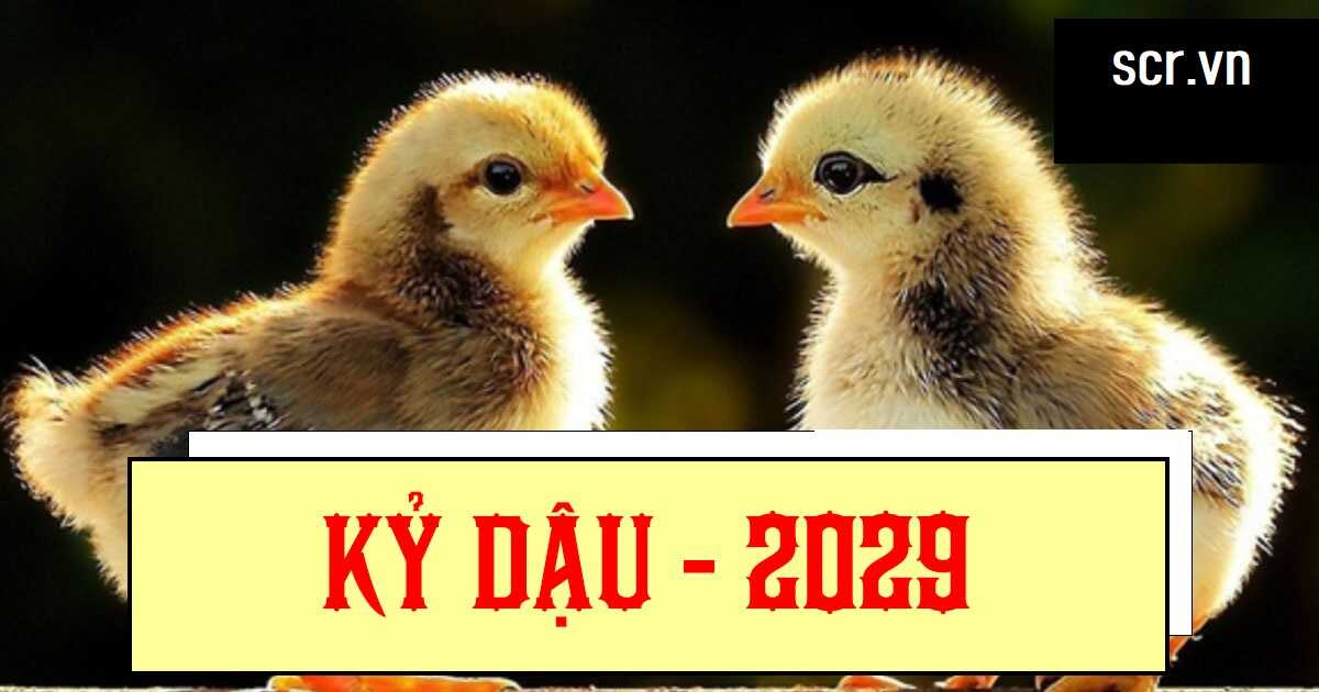 Thông tin tổng quan về năm 2029 Kỷ Dậu