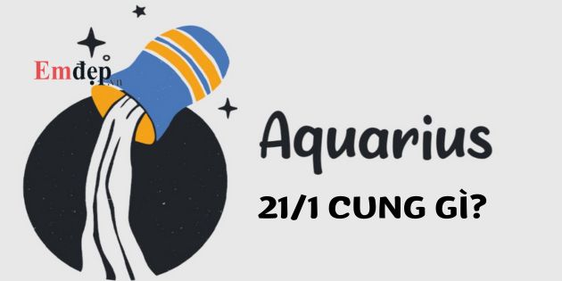 21 tháng 1 thuộc cung nào
