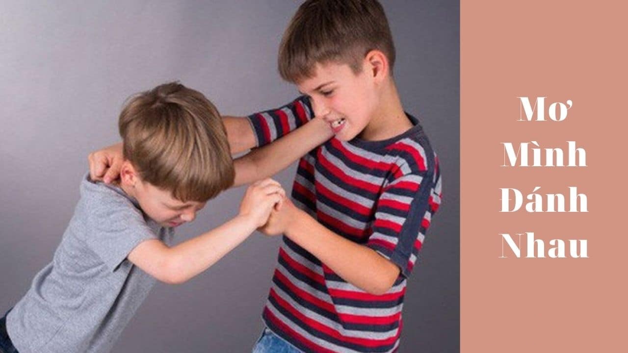 Mơ thấy mình đánh nhau nên đánh con gì