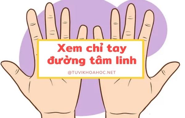Bàn tay có đường chỉ tay chữ M