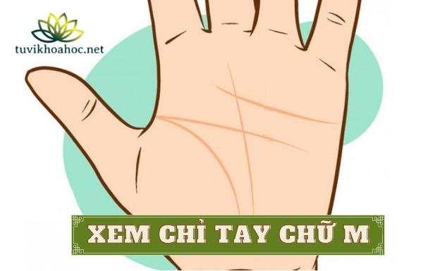 Bàn tay hình chữ M rõ nét
