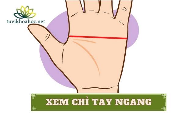 Đường chỉ tay chữ M rõ nét