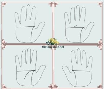 Hình ảnh chỉ tay ngang bên trong bàn tay