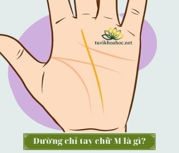 Hình bàn tay chữ M đơn giản
