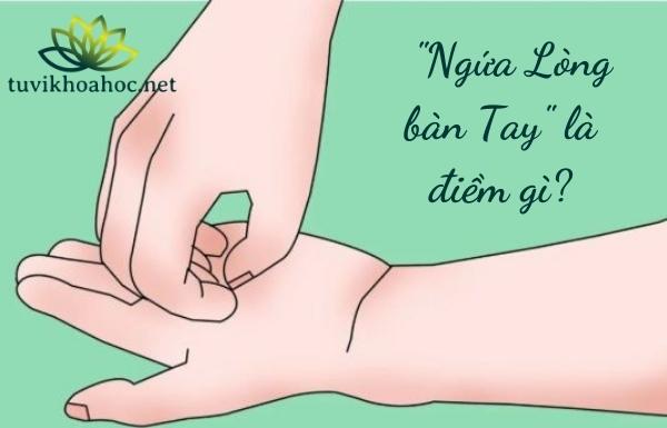 Bàn tay trái được xem xét