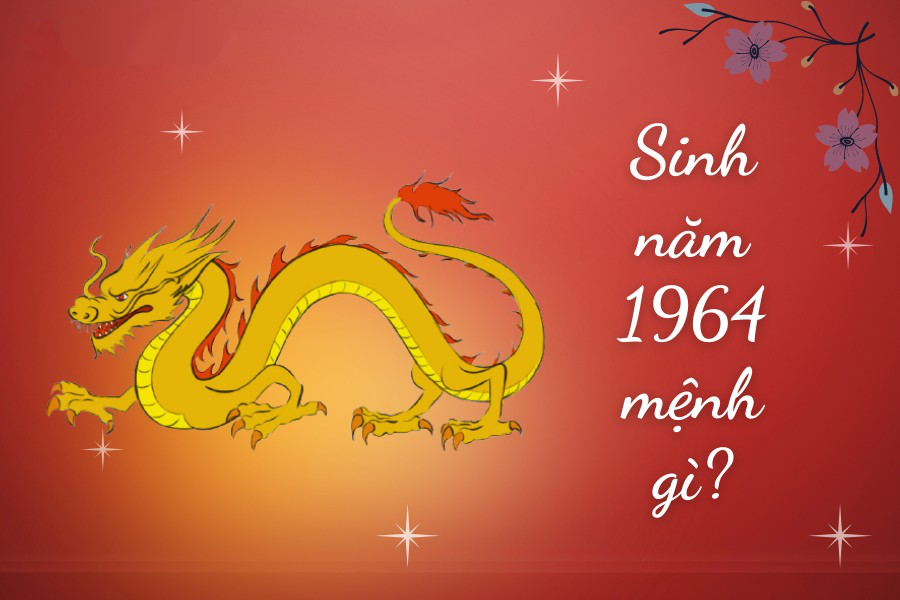 Nữ sinh năm 1964 mặc áo dài truyền thống