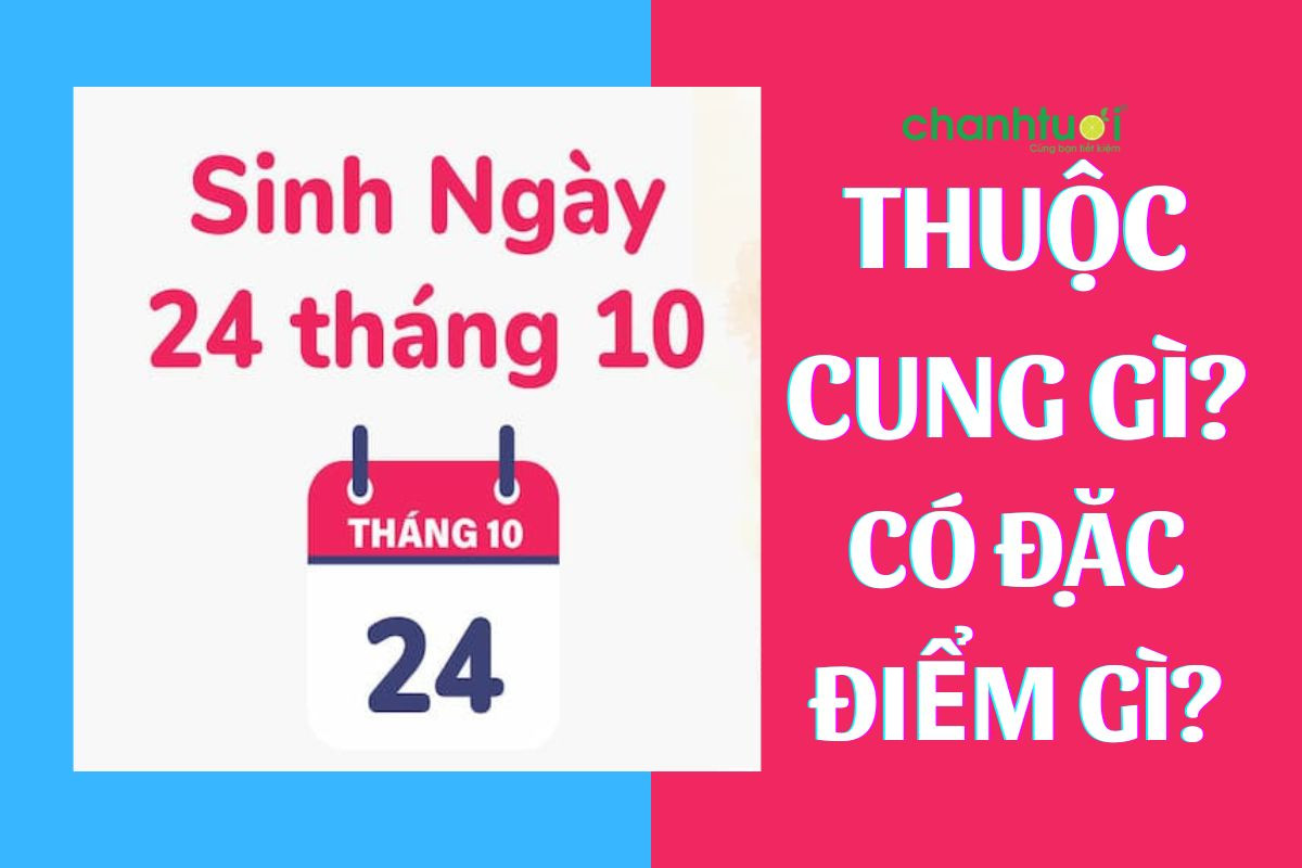 24 tháng 10 là cung hoàng đạo nào