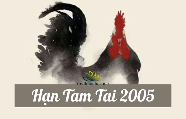 Giải thích tuổi phạm tam tai trong phong thủy