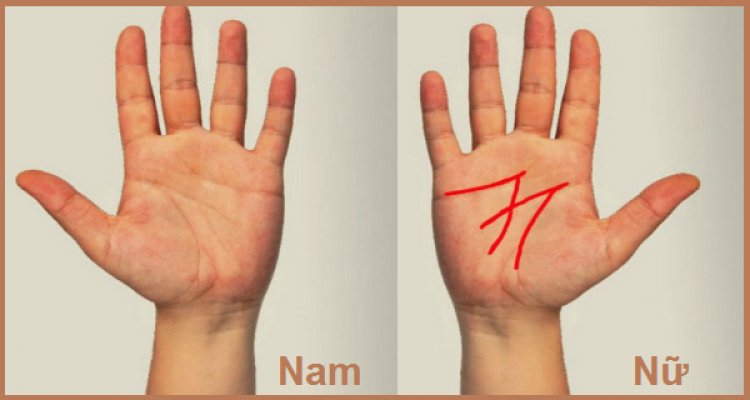 Bàn tay với đường chỉ tạo thành chữ M