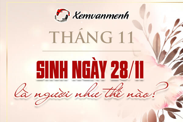 Sinh ngày 28 tháng 11 thuộc cung gì