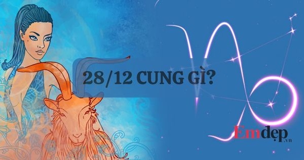 Người sinh ngày 28/12 thuộc cung gì