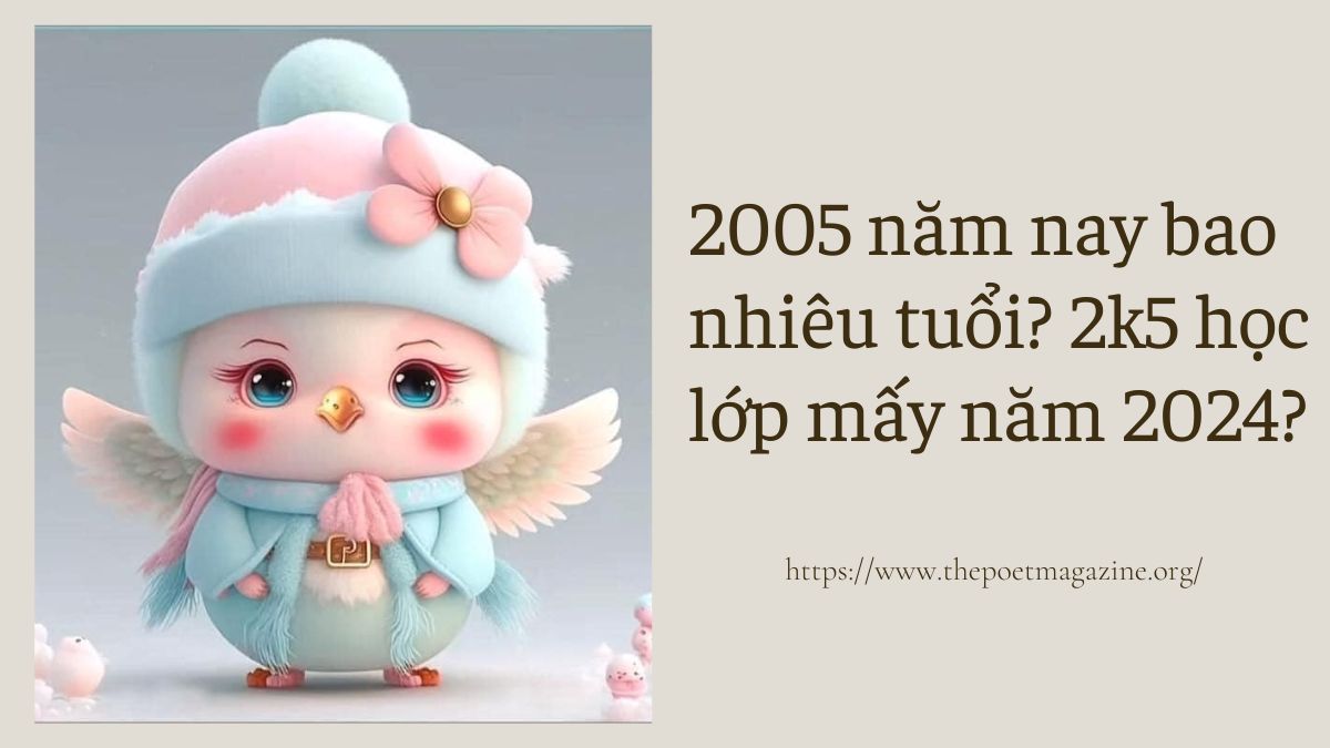 Học sinh sinh năm 2005 học lớp mấy năm 2026
