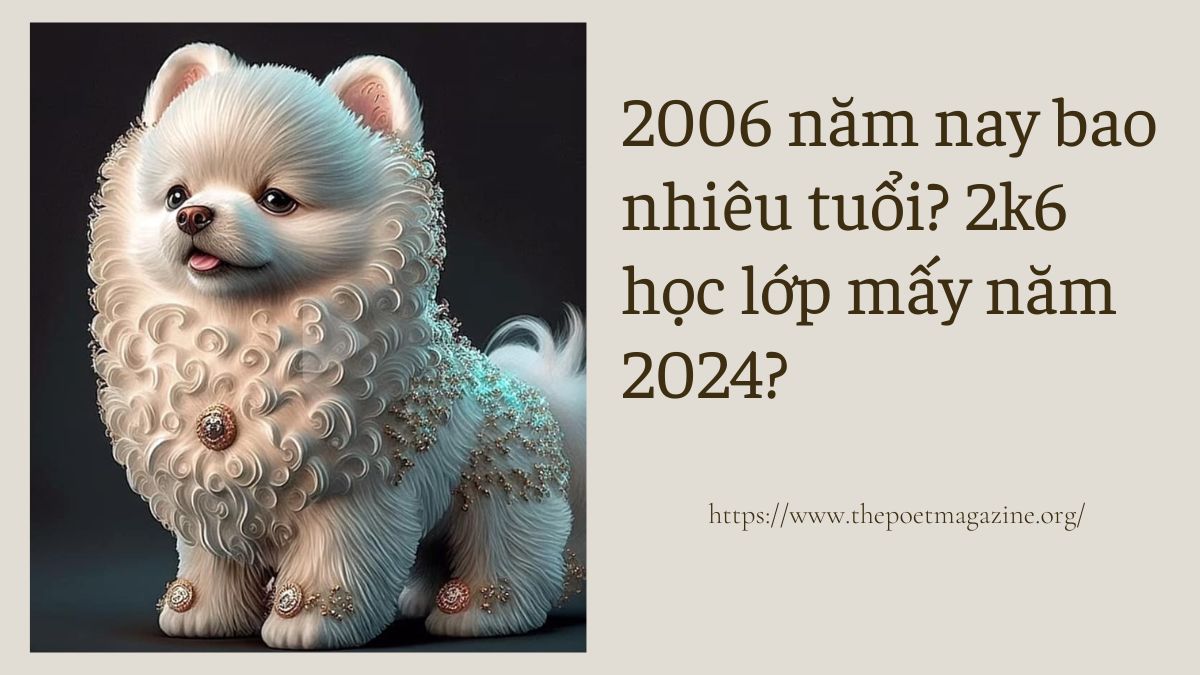 năm nay bao nhiêu tuổi và học lớp mấy năm 2026