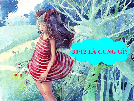Người sinh ngày 30 tháng 12 thuộc cung Ma Kết