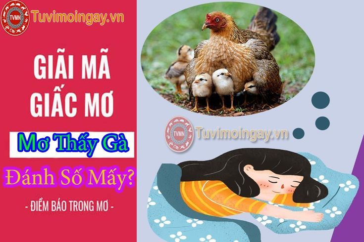 Gà xuất hiện trong giấc mơ ban đêm
