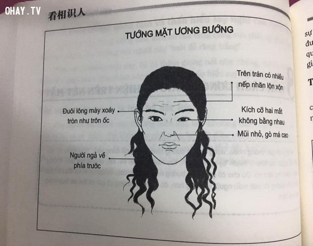 Các kiểu khuôn mặt phổ biến