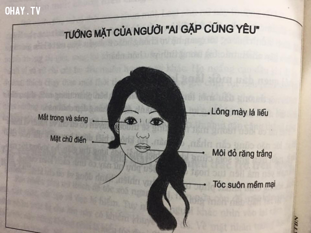 Các kiểu tướng mặt phổ biến