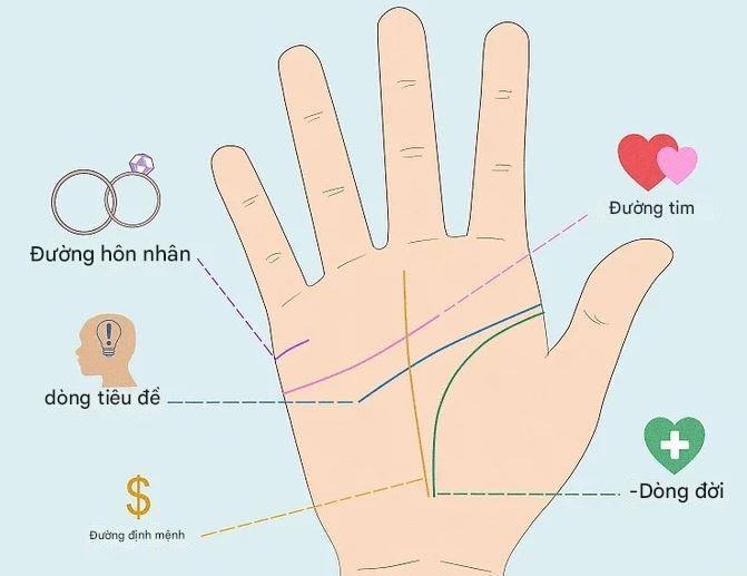 Đường chỉ tay hôn nhân trên bàn tay