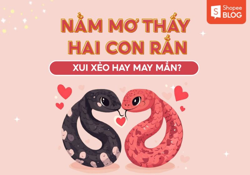 Mơ thấy hai con rắn hổ mang đánh đề số gì