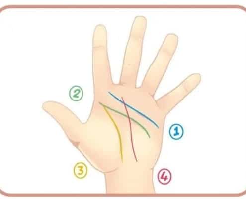 Hình minh họa 4 đường chỉ tay hiếm