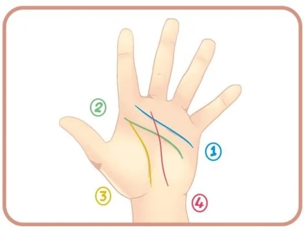 Bốn đường chỉ tay nổi bật trên tay