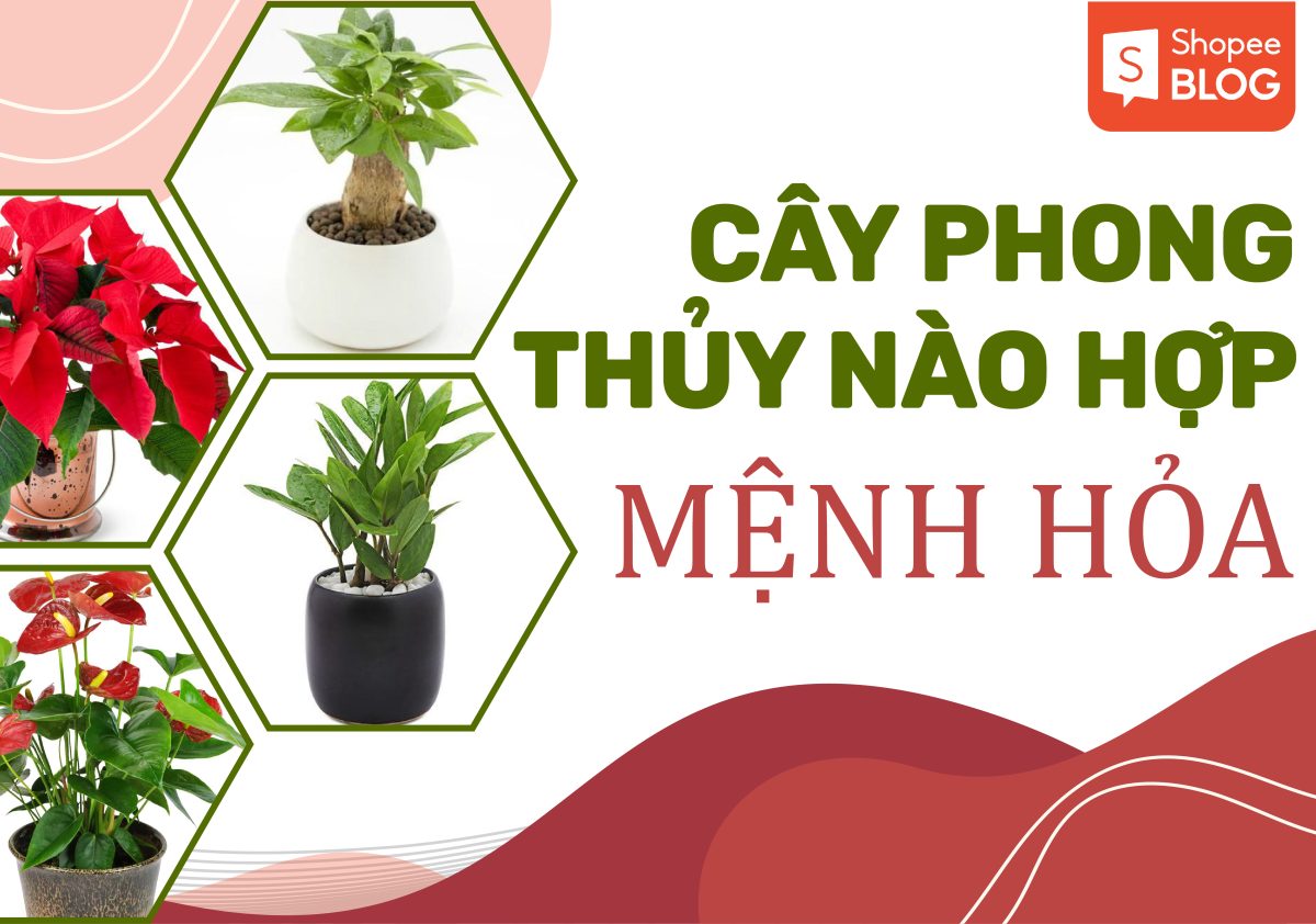 Bảng màu phong thuỷ hợp mệnh Hoả năm 2026
