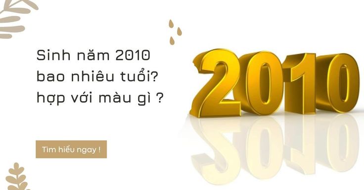 Học sinh sinh năm 2010 bao nhiêu tuổi năm 2026