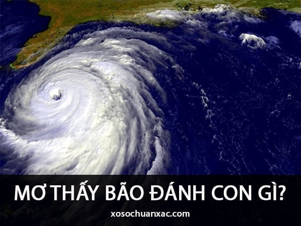 Cảnh mơ thấy bão lớn trên bầu trời u ám