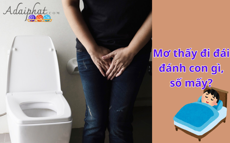 Mơ thấy đất đai nên đánh đề con gì chuẩn