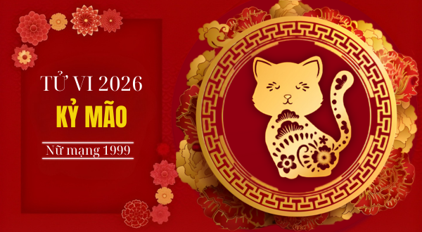 Tử vi nam Quý Mùi 2003 năm 2026 chi tiết