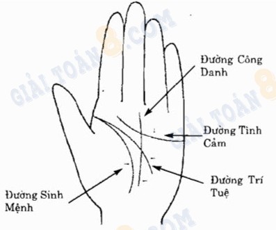 Các bước xem chỉ tay ở tay trái