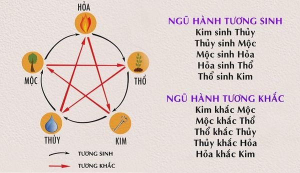 Ngũ hành phản sinh là gì? Góc nhìn sâu về ý nghĩa, ứng dụng thực tế và những điều cần lưu ý Sơ đồ minh họa ngũ hành phản sinh trong phong thủy