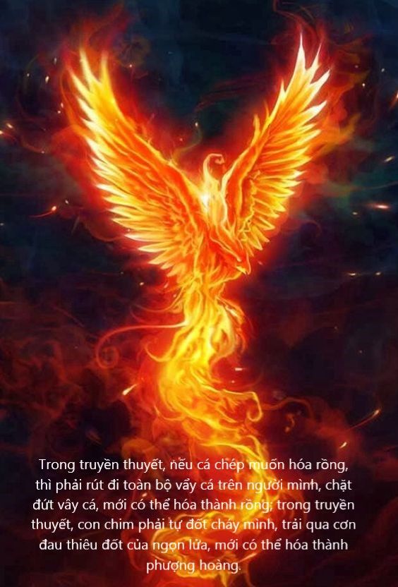 Hổ xuất hiện trong giấc mơ ý nghĩa gì