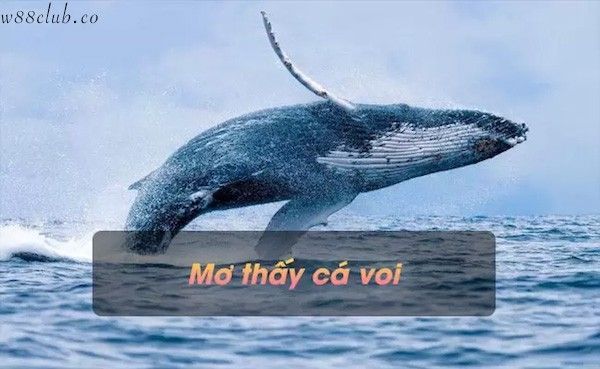 Cá bơi dưới nước trong giấc mơ đánh đề số mấy