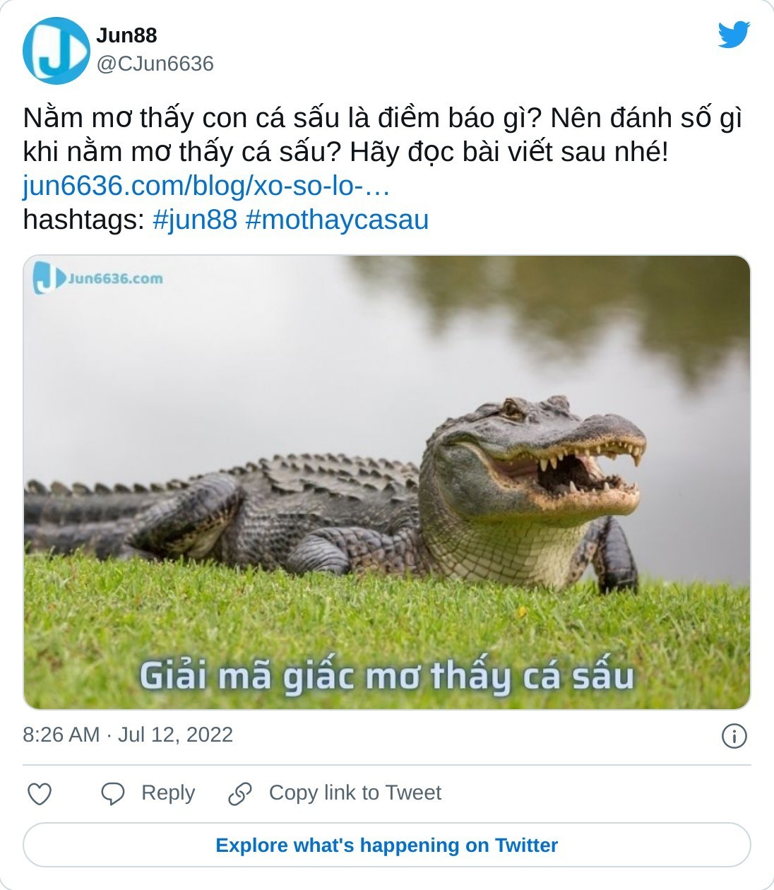 Nằm mơ thấy bắt cá đánh đề số gì