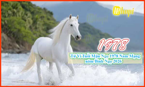 Tử vi nam Mậu Ngọ 1978 năm 2026 chi tiết