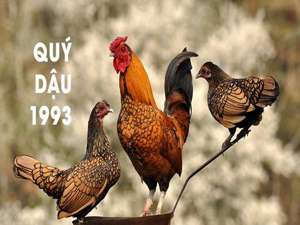 Bản đồ chiêm tinh Vệ Đà cho người sinh năm 1993