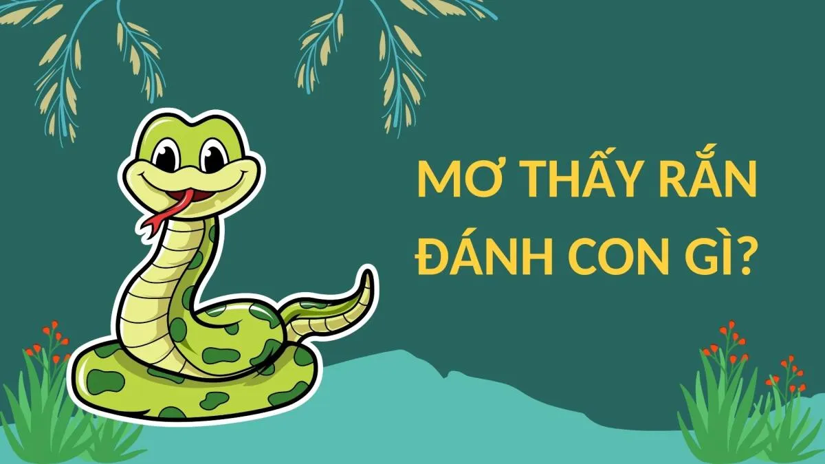 Rắn màu trắng trong giấc mơ và ý nghĩa con số