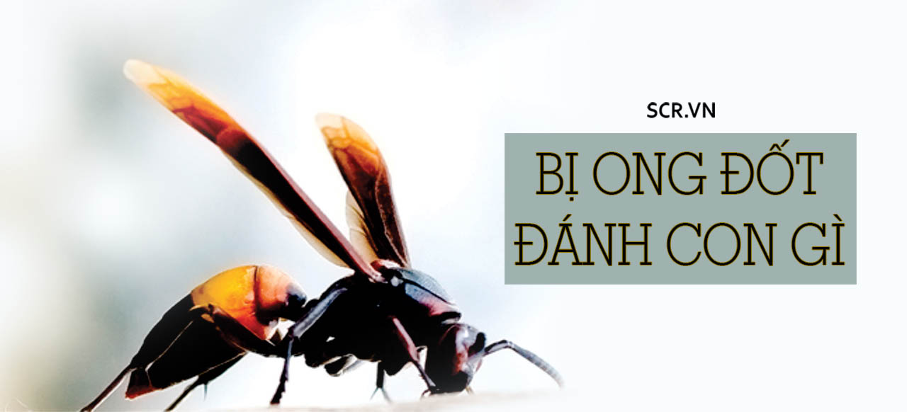 Bàn thờ nhà người khác trong giấc mơ đánh đề số gì